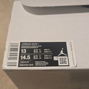 Jordan Zion 1